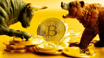 Mining in a BULL VS BEAR Crypto Market