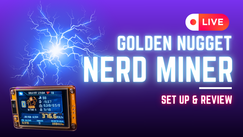 Set Up Guide For The Gold Nugget Nerd Miner