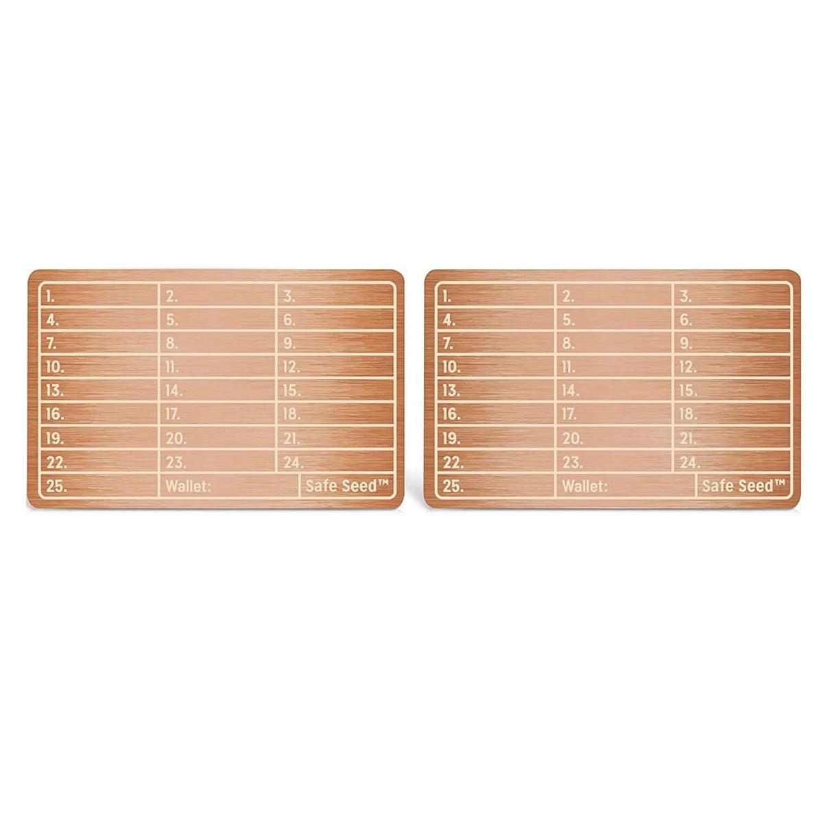 SAFE SEED Crypto Seed Key Phrase Backup